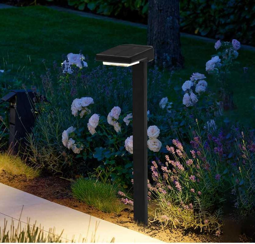 태양 전지 LED 스테이크 라이트 자동 켜기 / 끄기 6 PCS LED IP65 방수