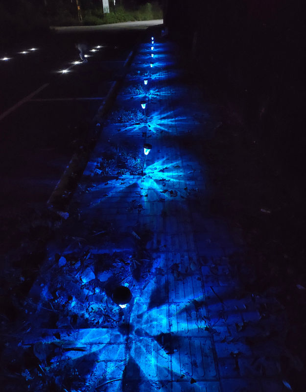 7-Color Solar Garden Pathway Lights IP65 Waterproof Stainless Steel