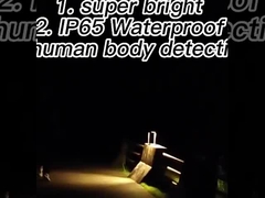 태양 동력이 공급된 LED 이동 센서광