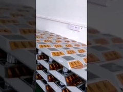 경로 안전을 위한 방수 오래가는 태양 기둥 로드 스터드